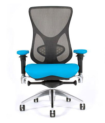 ergonomic-office-chair-The-Lumbar-Support