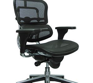 Ergohuman-High-Back-Office-Chair
