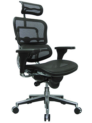 Ergohuman-High-Back-Office-Chair