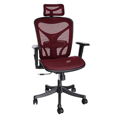 ANCHEER-Ergonomic-Computer-Chair