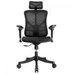 Argomax Mesh Ergonomic Office Chair Review