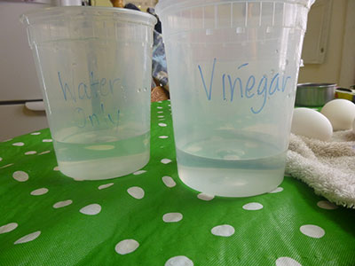 vinegar-and-water
