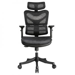 9-Argomax-Mesh-ergonomic-Office-Chair-(EM-EC002)